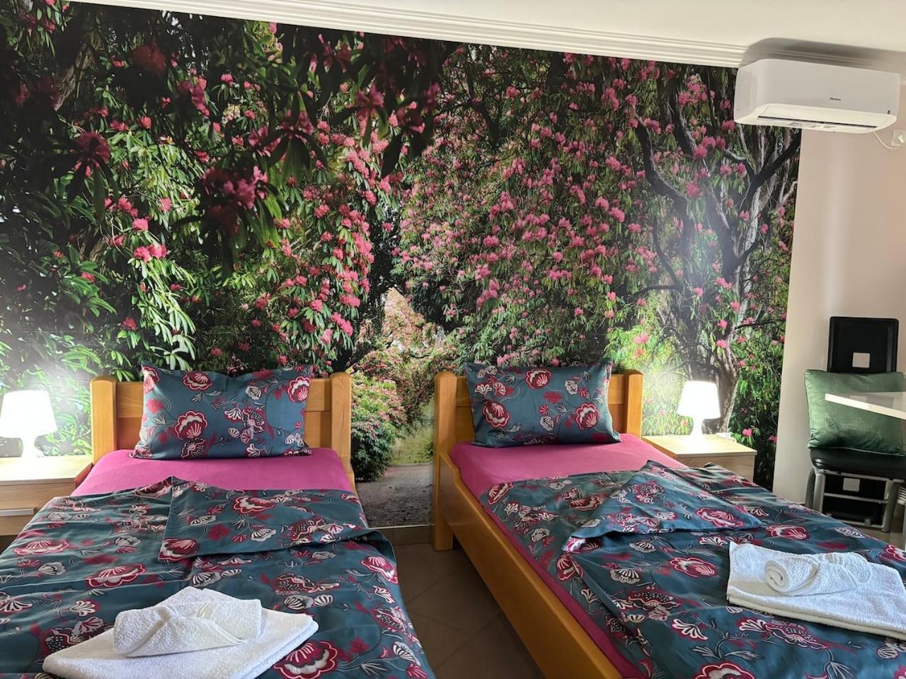 Apartmani "Marija" ゴルバッツ エクステリア 写真