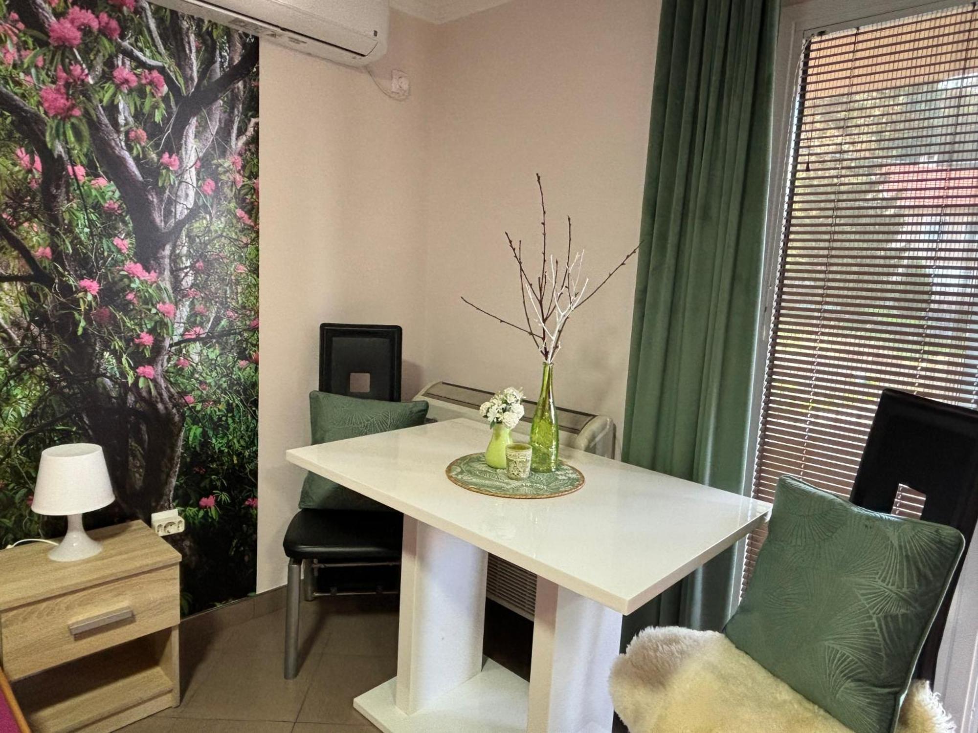 Apartmani "Marija" ゴルバッツ エクステリア 写真